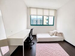 Blk 474 Segar Gardens (Bukit Panjang), HDB Executive #602933091
